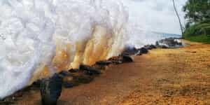 Galle